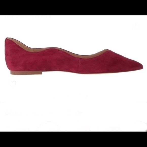 Sam Edelman Rosalie Ballet Suede Flat Shoes - Picture 7 of 9